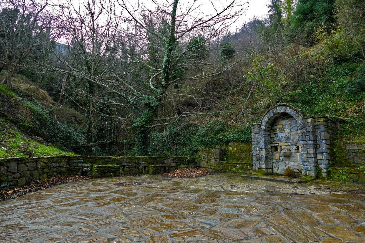 Antoniou Guesthouse Kastanitsa エクステリア 写真